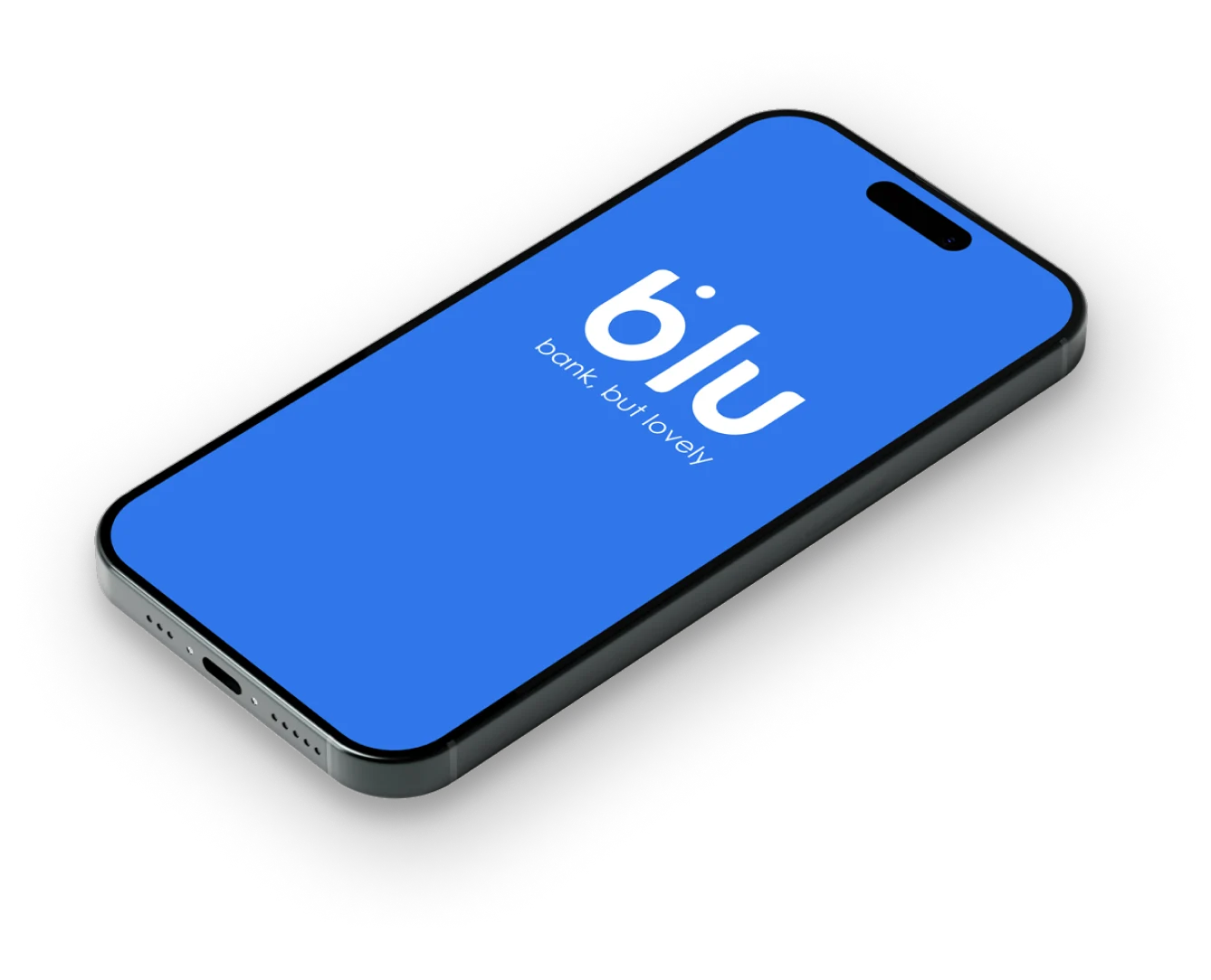 BluBank Image